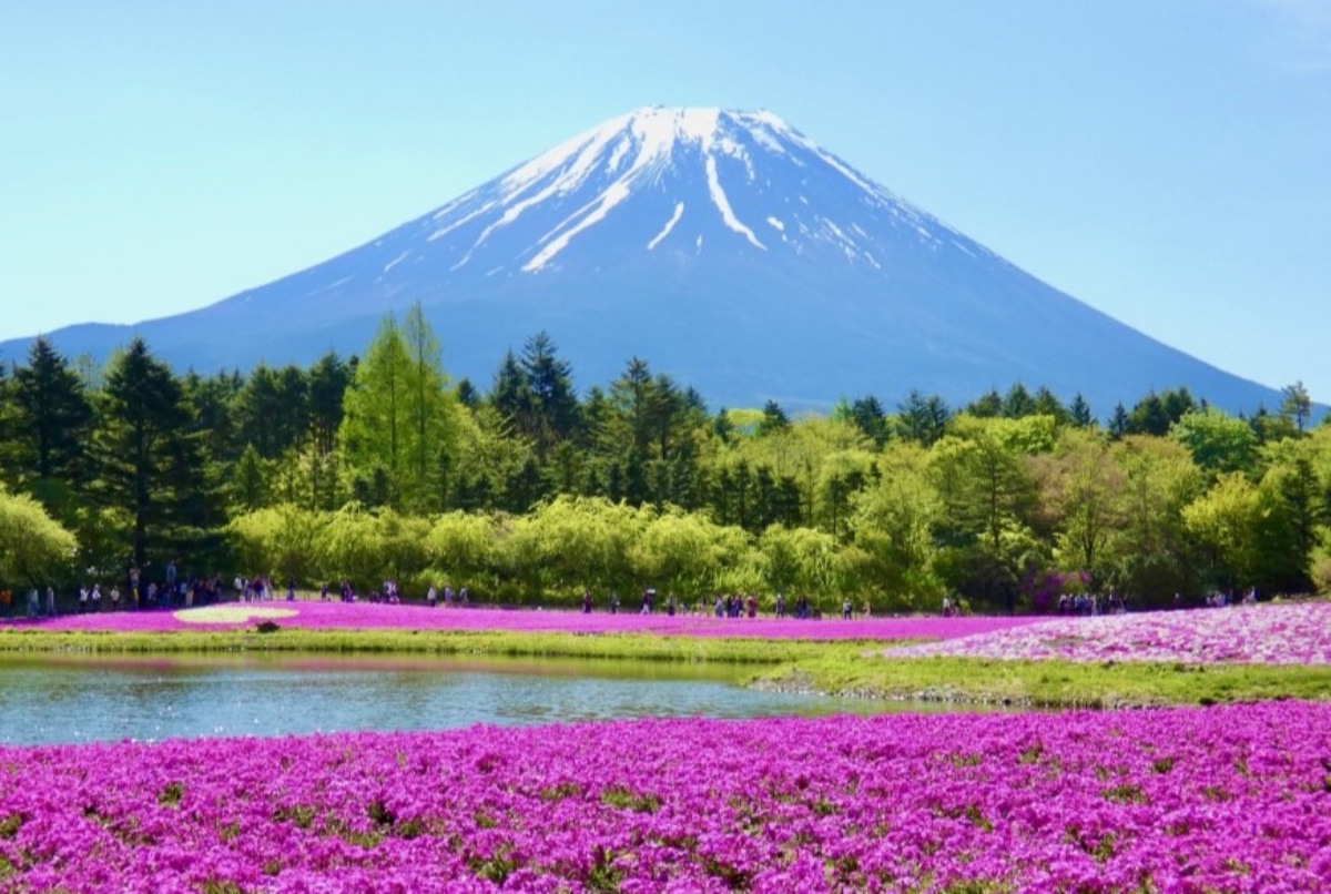 高雄旅展週末登場！日韓賞櫻最低免３萬、直飛不丹省１萬，加碼樂園飯店限時優惠