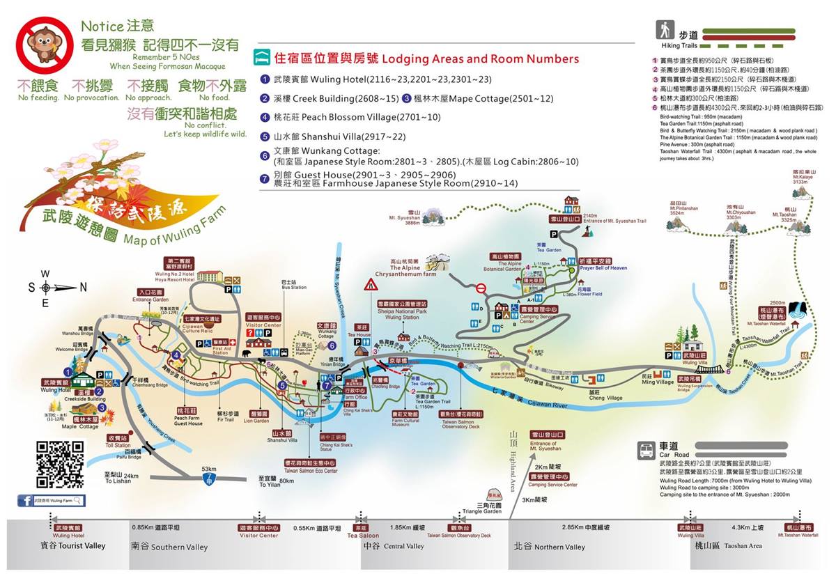 武陵農場櫻花季：2025開花時間、門票交通資訊｜武陵賞花攻略