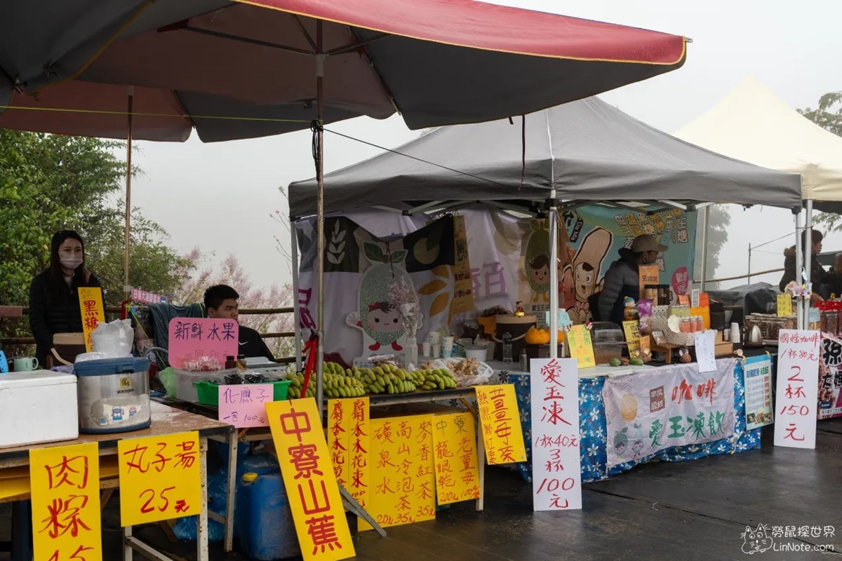 全台最美「粉紅麝香木」祕境開放了！拍爆6000坪夢幻花海，門票只要100元