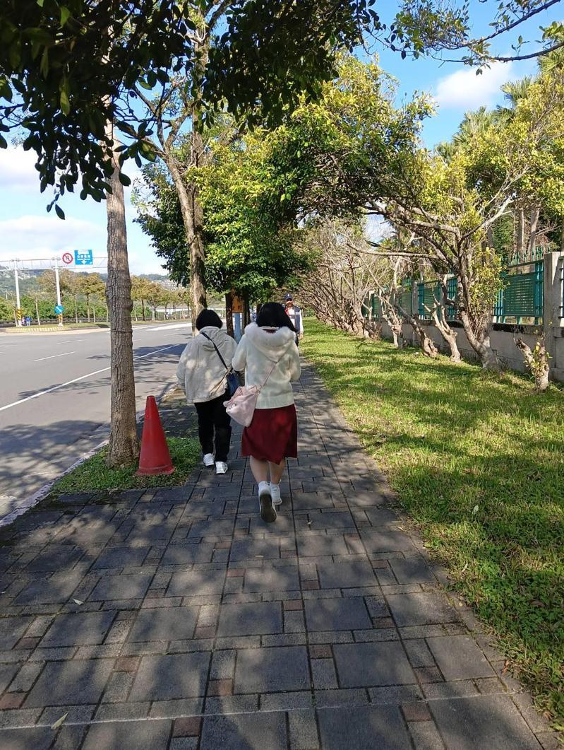 漫步培養靈感 走進花草山水