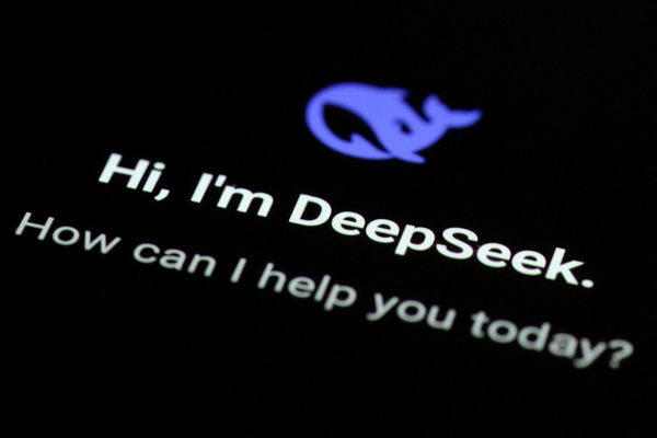 DeepSeek盜用OpenAI模型風波　網傳「貓咪釣魚圖」神譬喻偷竊手法