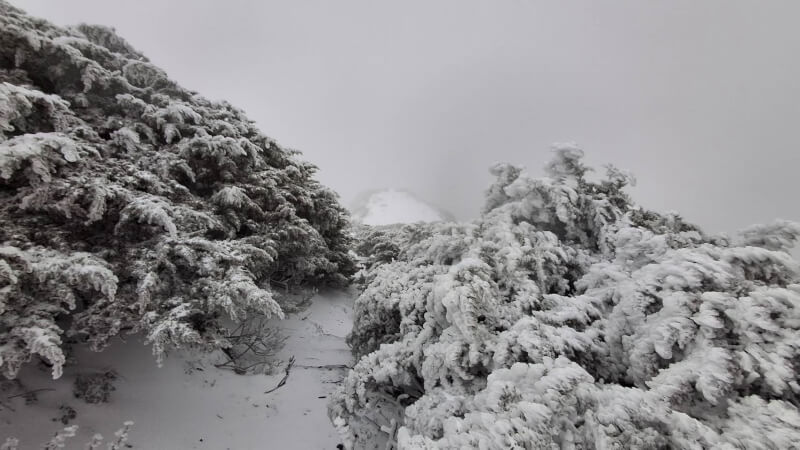 冷氣團發威 合歡山、玉山、仁愛鄉華崗化身雪國