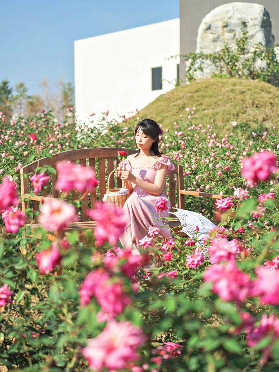 台南景點「雅聞湖濱療癒森林」行程攻略：６大觀光特色、主題花園