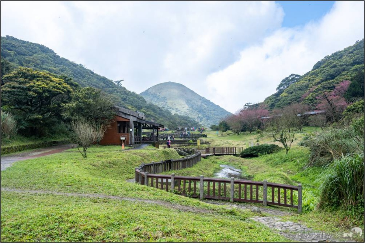 2025陽明山海芋賞花攻略！竹子湖一日遊，海芋季活動＋周邊景點推薦