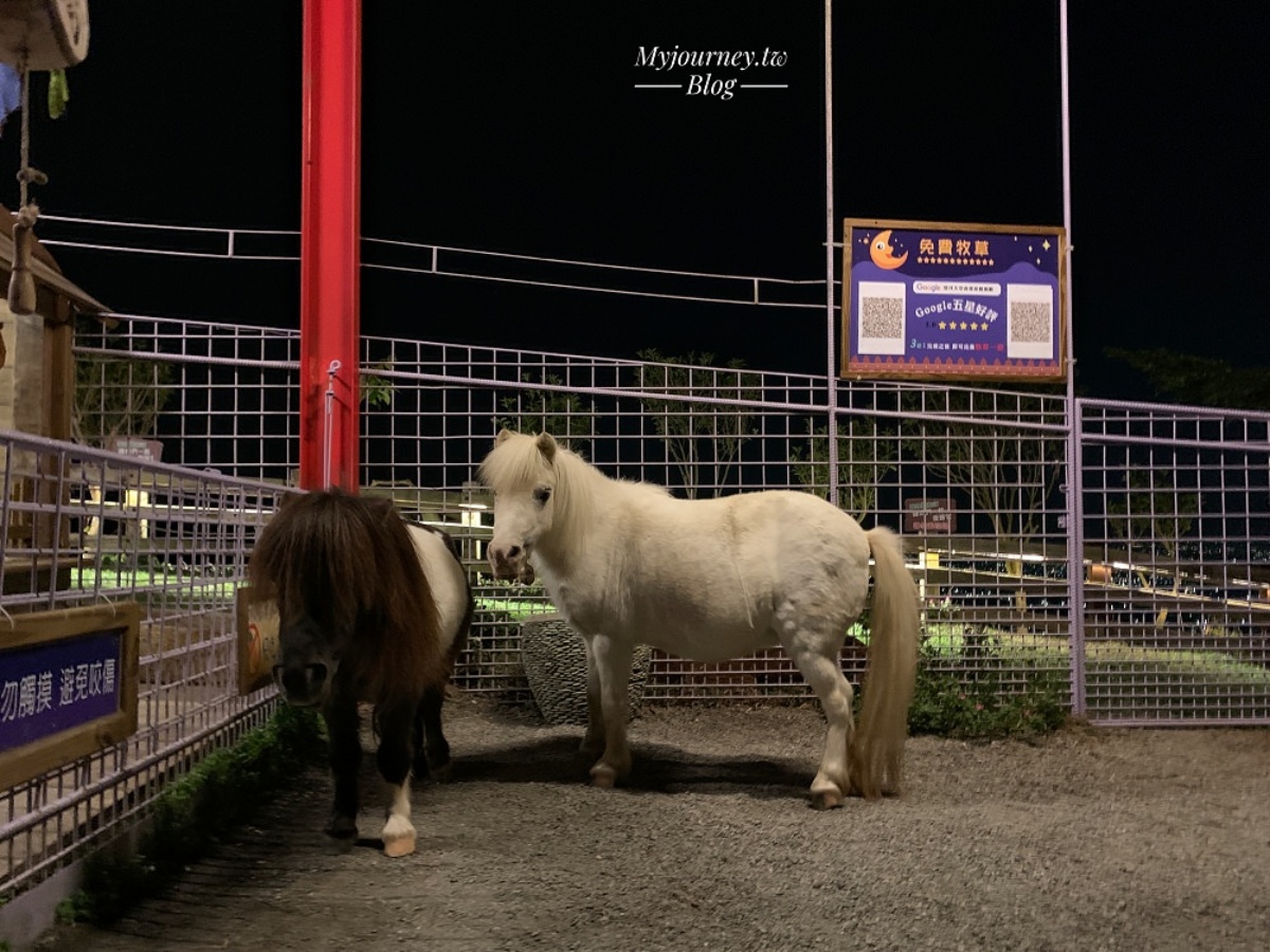 白天看動物、晚上看無敵夜景！網友激推中部親子景點，互動超萌水豚、笑笑羊