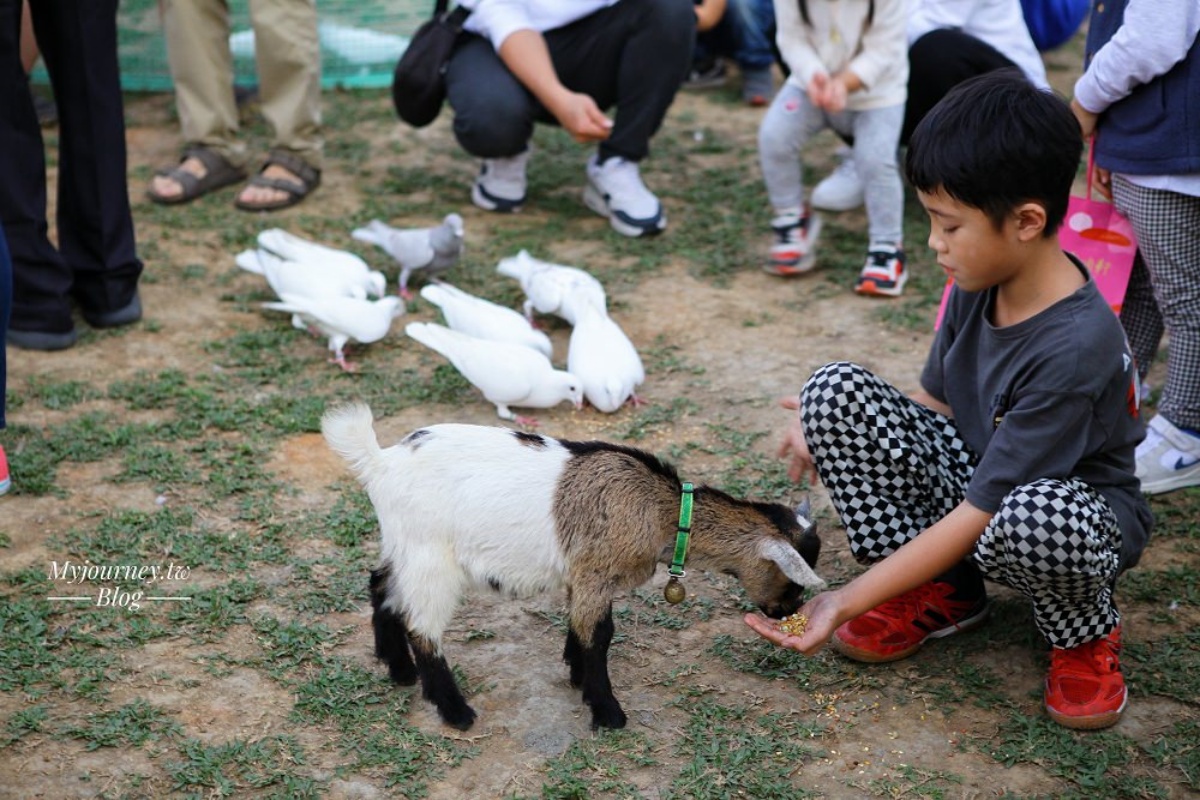 白天看動物、晚上看無敵夜景！網友激推中部親子景點，互動超萌水豚、笑笑羊