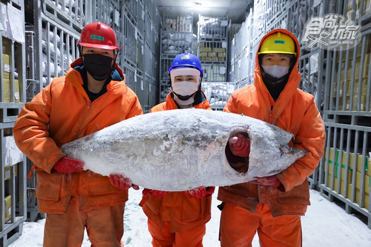 【食尚開團GO】-50℃保鮮有如活魚！鮪魚王者「魚有王」開團：黑鮪生魚片、DIY鮪魚丼飯