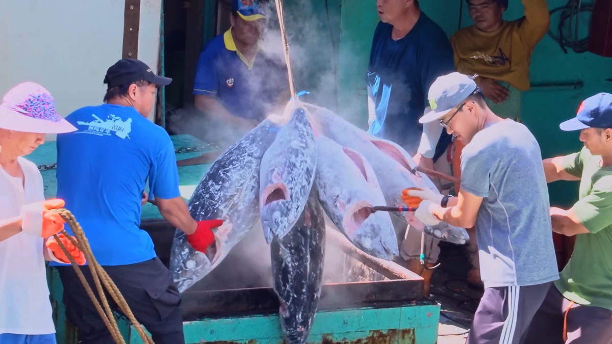 【食尚開團GO】-50℃保鮮有如活魚！鮪魚王者「魚有王」開團：黑鮪生魚片、DIY鮪魚丼飯