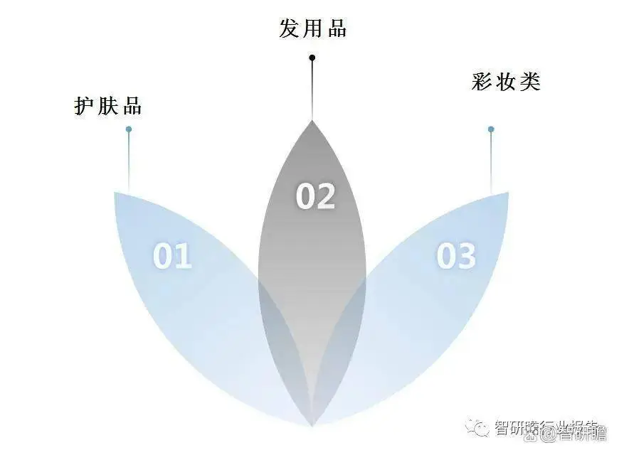 中國男士化妝品行業市場需求預測與投資战略規劃分析報告